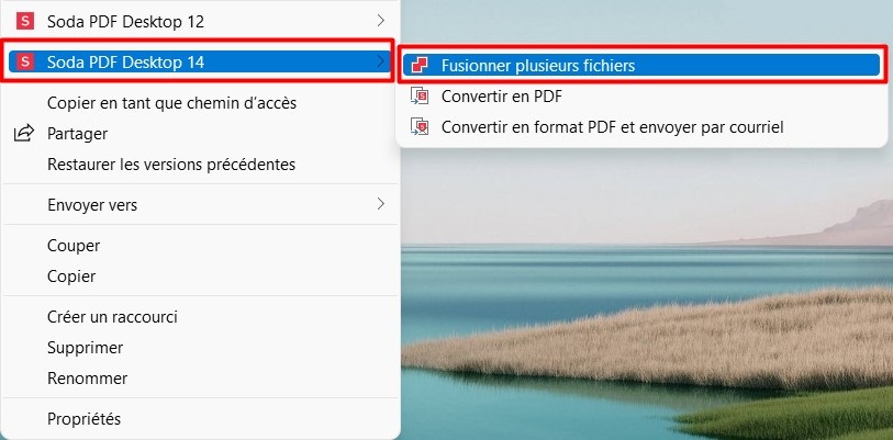merge_fr.jpg