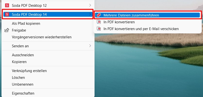 merge_ger.jpg